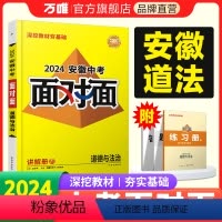道德与法治 安徽省 [正版]2024安徽道德与法治面对面初三总复习全套资料七八九年级初三政治模拟题训练历年中真题卷辅导书