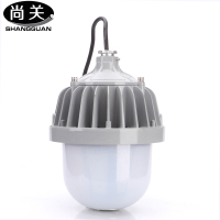尚关(SHANGGUAN) LED防眩平台灯 SQ-Z23 50W 套