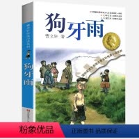 狗牙雨 [正版]完整版狗牙雨曹文轩系列原著纯美小说三4四5五六年级阅读阅读江苏少儿出版社儿童文学的经典图书籍根鸟全套小学