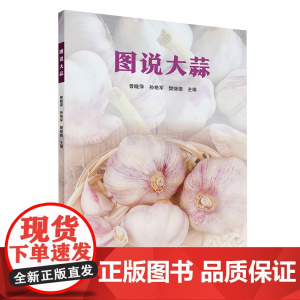 图说大蒜