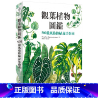 [正版]在途 Pavaphon Supanantananont 观叶植物图鉴:500种风格绿植栽培指南 麦浩斯 原版进