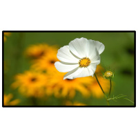 昌裕CY-GGJBG-Y55 55寸壁挂触摸广告机 触摸显示屏 触控一体机