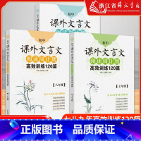 现代文阅读100篇 七年级/初中一年级 [正版]初中课外文言文阅读周计划七年级高效训练120篇八年级九年级现代文阅读周计