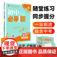 2025秋初中必刷题 化学九年级上册 HJ