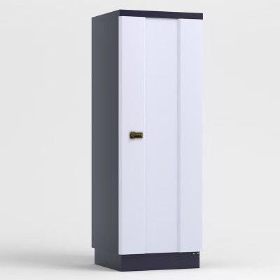 臻远 ZY-FCGA-5 防磁柜(单位:个)