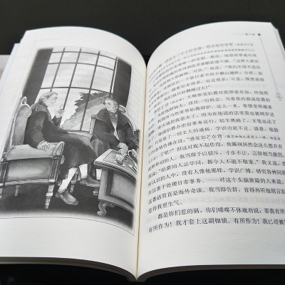 少年维特的烦恼智慧熊彩插励志版无障碍阅读部编教材推荐阅读中学生语文阅读名著注音释义批注点评初高中学生课外阅读文学名著