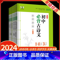 现代文阅读+古诗文阅读 九年级/初中三年级 [正版]2024版53语文七八九年级现代文阅读古诗文阅读名著导读同步作文提分