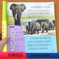 [正版]动物百科全书版幼儿大百科彩图注音少儿科普读物绘本科学启蒙认知7-10-12岁儿童猫科犬科动物图鉴世界百科书小学