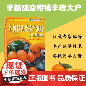 砂糖橘优质丰产栽培彩色图说 新农村新亮点系列丛书 柑橘种植实用技术指导参考 全彩铜版纸印刷 潘文力 黄文东编著 农业