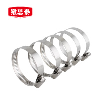 维思泰 不锈钢喉箍镀锌抱箍 18-32mm 个