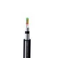 智铮朗月 铠装阻燃光缆 GYTZA53-48B1米