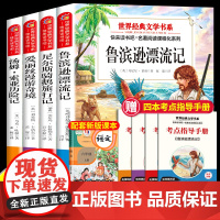 六年级下册必读的课外书快乐读书吧全套4册鲁滨逊漂流记原著正版完整版爱丽丝漫游奇境尼尔斯骑鹅旅行记汤姆索亚历险记 赠考点