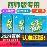 3册[西师版]数学+[人教版]语文+[人教PEP版]英语 六年级下 [正版]2024春新 53天天练西师版小学数学教辅书