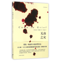 音像无由之灾(英)迪克·弗朗西斯|译者:刘全福