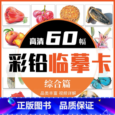 [正版]彩铅临摹卡综合篇60幅 一线美誉步骤对应视频详解美术绘画卡片兴趣高清原创叶