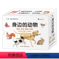 身边的动物(系列4册) [正版]身边的动物(系列4册) 0-4岁经典动物认知撕不烂纸板书 折页翻阅设计 浪花朵朵童书 给