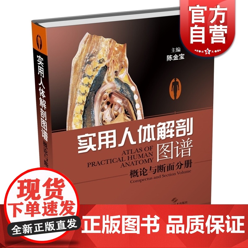 实用人体解剖图谱 概论与断面分册 陈金宝 医学类工具书 医药卫生 上海科技 世纪出版