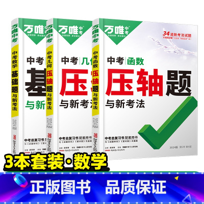 数学进阶❤[基础题+压轴题几何+压轴题函数]3本 初中通用 [正版]数学压轴题2024初中七年级动点专项训练几何函数精讲