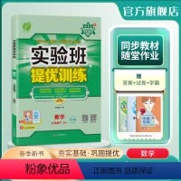 数学 九年级下 [正版]2024年春 初中实验班提优训练九年级数学下册苏科版9年级下册SK版课时单元专题训练期中期末真题