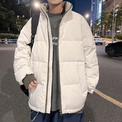 尊尚鸟(ZunshangniaO)2020冬季新款羽绒服男时尚休闲潮流中青年冬装加厚保暖外套男装