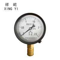 祥屹 膜盒压力表 YE60 块