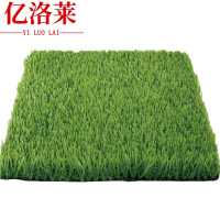 亿洛莱 草坪 100*200*2cm 张