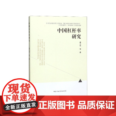 中国杠杆率研究