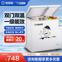 香雪海 172升 冰柜双温 卧式冷柜 冰柜家用冷柜 小型家用冷藏柜 冷冻柜 双温双箱 家用商用顶开门 BCD-179AG