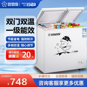 香雪海 172升 冰柜双温 卧式冷柜 冰柜家用冷柜 小型家用冷藏柜 冷冻柜 双温双箱 家用商用顶开门 BCD-179AG