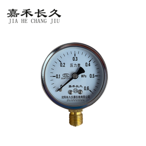 嘉禾长久 压力表 Y60 0-0.6Mpa 块