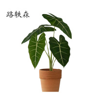 路轶森 精品天鹅绒 60cm 棵