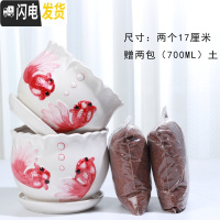 三维工匠花盆陶瓷带托盘一组两个大号盆带土简约家用绿萝多肉花盆 88023红两个大+土2包 大花盆容器