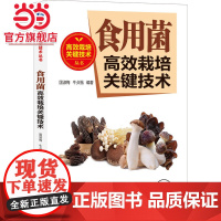 食用菌高效栽培关键技术 工业农业技术 农业 机械工业出版社 正版书籍
