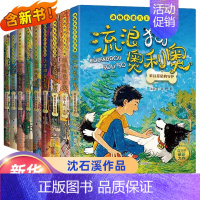 [全套9册]流浪狗奥利奥全套 [正版]流浪狗奥利奥全套12册 吉他上的二重唱来自星星的守护黑夜骑手的眼睛动物小说大王沈石