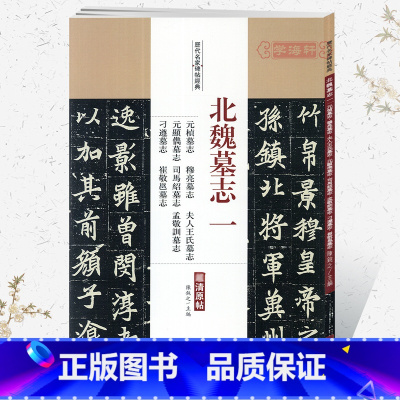 北魏墓志 一 [正版]学海轩北魏墓志一1元桢墓志穆亮墓志夫人王氏墓志历代名家碑帖原贴陈钝之繁体旁注楷书毛笔字帖书籍书法临