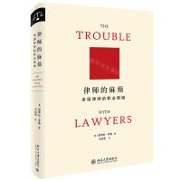 [N]律师的麻烦(美国律师的职业困境)(精)-9787301347713