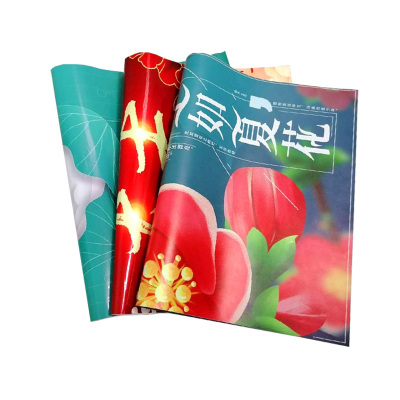 写真画面 300*150cm 张