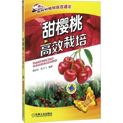 甜樱桃高效栽培