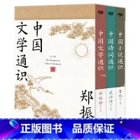 全三册 [正版]中国文学通识系列书 中国小说通识中国诗词通识中国文学通识 郑振铎鲁迅流沙河等14位共著 了解中国文学发展