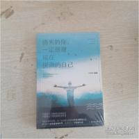 正版新书]将来的你,一定感谢现在拼命的自己(未开封)宋璐璐著