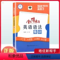 [正版]2024新版小升初英语语法集训 培优新帮手小学生英语阅读理解完形填空语法专项强化训练 小学升初中名校真题总复习