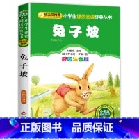 兔子坡 [正版]老师了不起的狐狸爸爸注音版一年级二年级明天出版社 了不起的狐爸爸全套