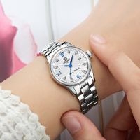 瑞士嘉年华Carnival手表新款女士时尚镶水钻石英表 女表日历防水精钢潮流 女神腕表小巧 全国联保8830L