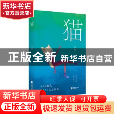 正版 猫 万燕著 江苏凤凰文艺出版社 9787559426628 书籍