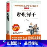 骆驼祥子(4本35元 5本39元) [正版]骆驼祥子原着老舍 五年级阅读课外书籍语文人教版同步读物完整版 适合小学生三四