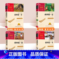 森林报春夏秋冬全四册 [正版]森林报春夏秋冬全4册 快乐读书吧四年级全集五六年级下册必读的课外书绘本必读老师儿童文学读物