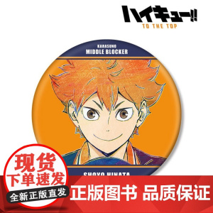 AMNIBUS 排球少年 Ani-Art BIG吧唧徽章Vol.4