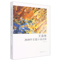 音像王春林2020年长篇小说论稿王春林 著