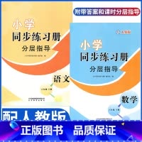 语文数学同步练习册分层指导 六年级下 [正版]24年六年级下册语文数学英语小学同步练习册分层指导配人教版六年级下册语文数