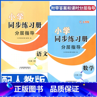 语文数学同步练习册分层指导 六年级下 [正版]24年六年级下册语文数学英语小学同步练习册分层指导配人教版六年级下册语文数